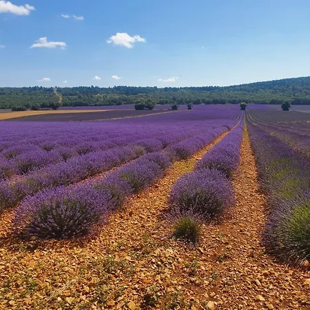 A Ventoux Yourte Monieux