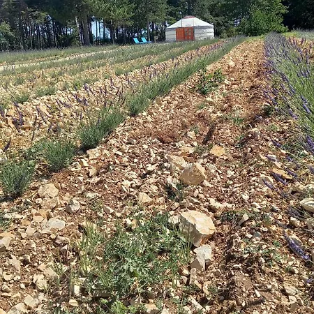 Penzion A Ventoux Yourte Monieux