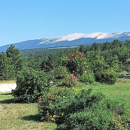 A Ventoux Yourte * Monieux